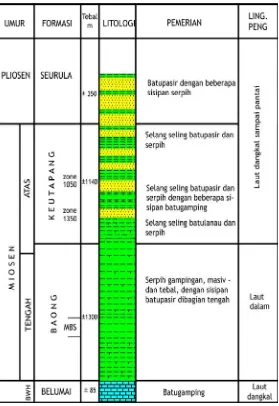 Figure 3 - Stratigraphic Coloum Field Rantau 