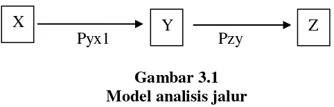 Gambar 3.1 Model analisis jalur 