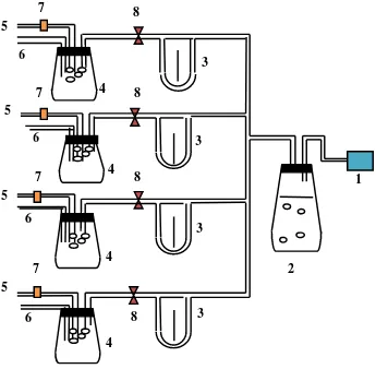 Figure 1. The equipment of fermentation: (1). Aerator, (2) Erlenmeyer fill with 10 wt.% of iodide solution , (3) Flow meter, (4) Erlenmeyer with sterile media, (5) Sampler, (6) Air effluent  (7) Clamp, (8) Ccontrol valve 