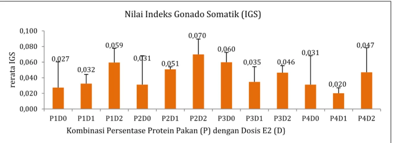 Gambar 4. Nilai IHS Induk O. hasselti Pasca Pemberian Perlakuan Berupa Persentase Protein   dalam Pakan (P) dan Dosis E2 (D) Selama 8 Minggu 