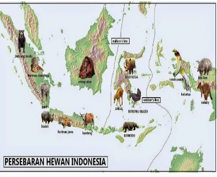 gambar contoh fauna Indonesia bagian Tengah. 