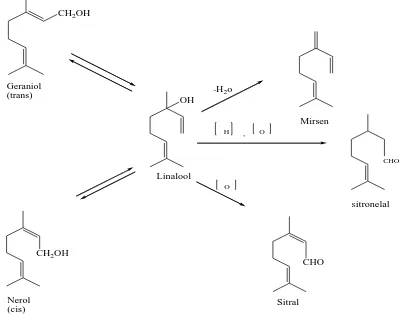 Gambar 2.3. Perubahan senyawa monoterpen (Achmad, 1986). 