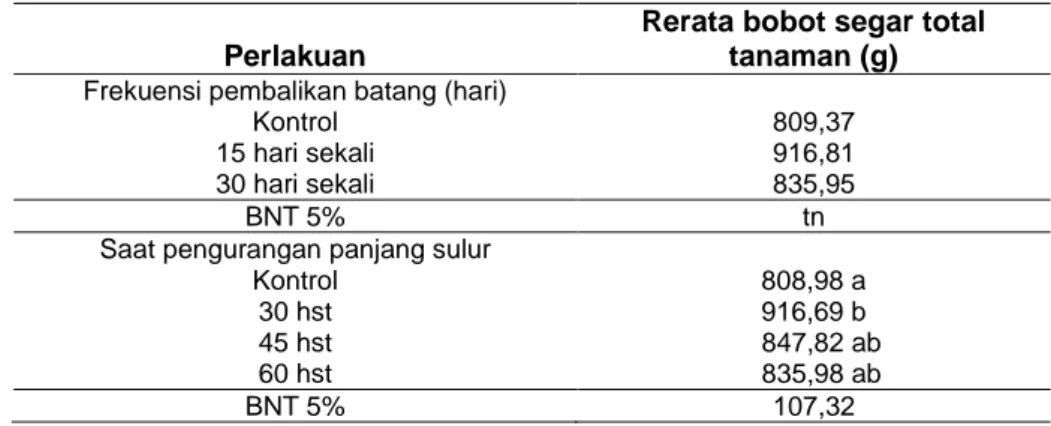 Tabel 6  Rerata  Bobot  Segar  Total  Tanaman  Akibat  Frekuensi  Pembalikan  Batang  dan  Saat  Pengurangan Panjang Sulur pada Saat Panen 