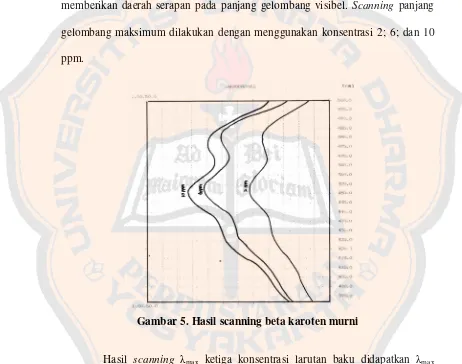 Gambar 5. Hasil scanning beta karoten murni