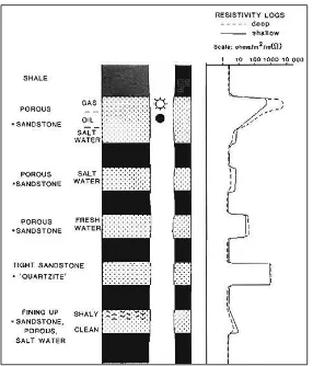 Gambar 3.18  Respon resistivity log di berbagai litologi (Rider, 1996) 