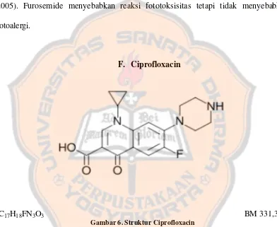 Gambar 6. Struktur Ciprofloxacin 