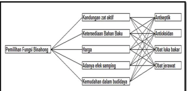 Gambar 1. Diagram Alir Penentuan Prioritas Pemanfaatan Khasiat Daun Binahong. 