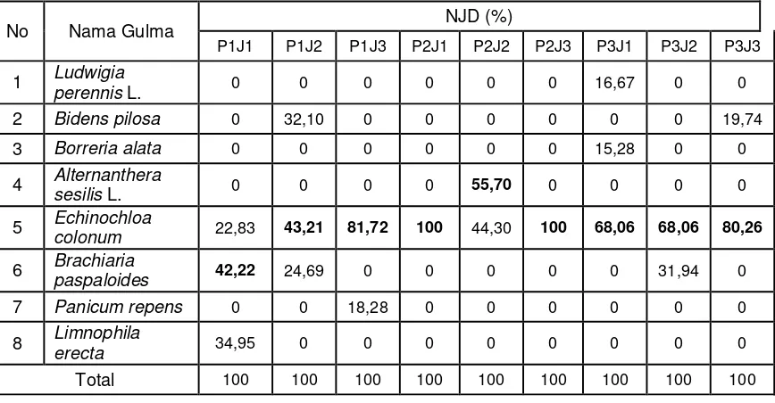 Tabel 6. Nisbah jumlah dominan (NJD) 42 HST 