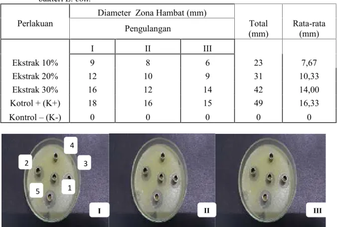 Tabel 1. Hasil pengukuran zona hambat ekstrak  etanol daun C. trifolia L. Domin terhadap bakteri E