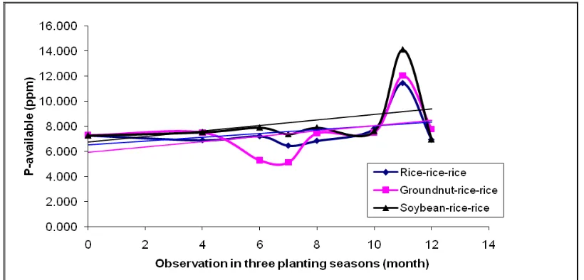 Figure 3. Content of P-available in many kind of crops rotation on three planting seasons 