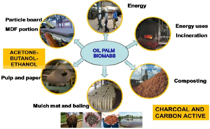 Figure 2.The Utilization of Oil Palm Biomass Source: IOPRI (2012); Gumbira-Sa’id (2013) 