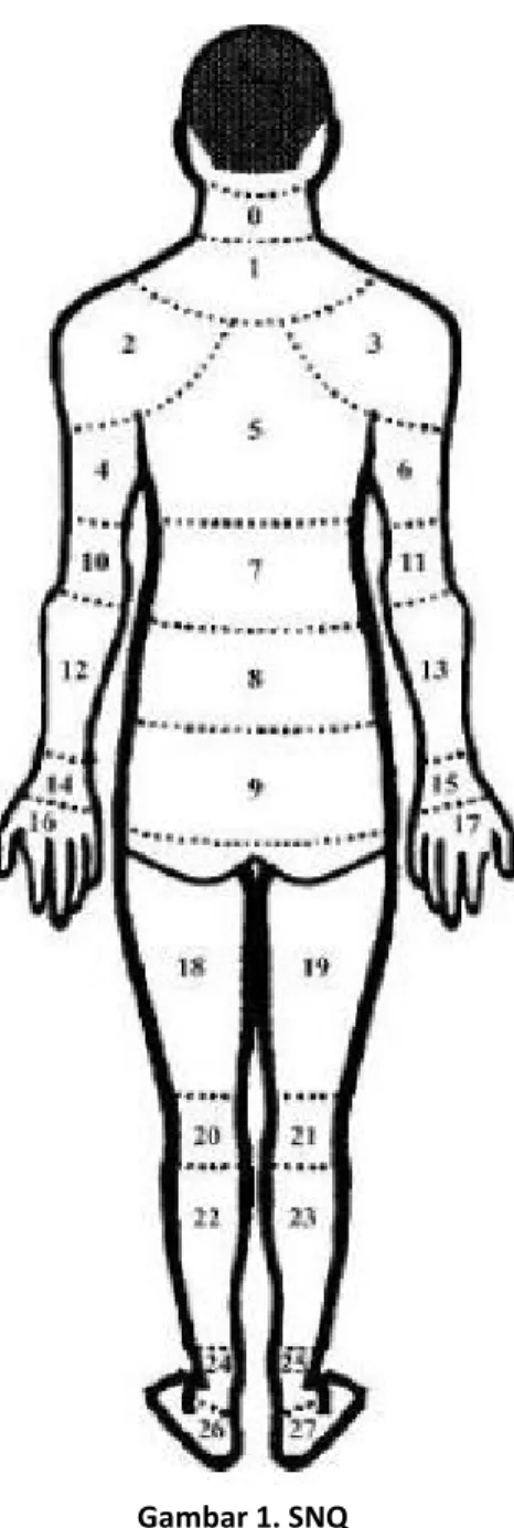 Gambar 1. SNQ  2.1. Metode Pengumpulan Data 