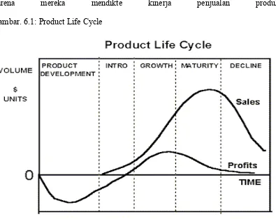 Gambar. 6.1: Product Life Cycle