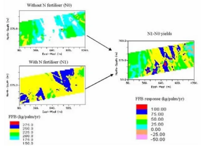 Figure 5: Spatial FFB yield response of oil palm on Kumansi Family soil to N fertilizers