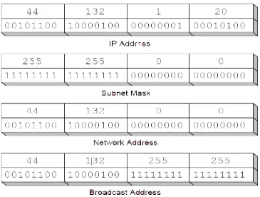 Gambar 2.8 Subnetting 16 bit pada IP Address kelas A 