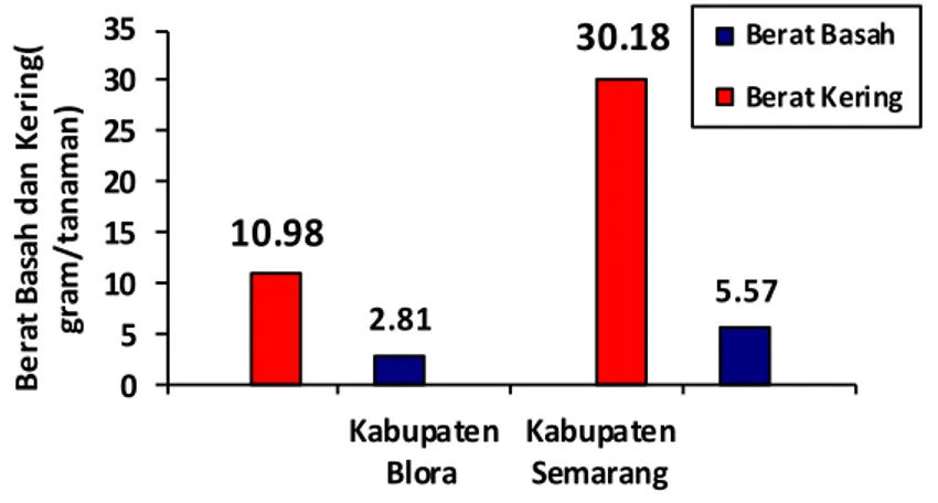 Tabel  2.   Hasil Pengukuran Biomassa  Alang-Alang  yang Tumbuh didaerah Ternaungi di Kabupaten Blora  dan Semarang 