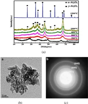 Gambar 2: Skema mekanisme sintesis γ-Al 2 O 3 .