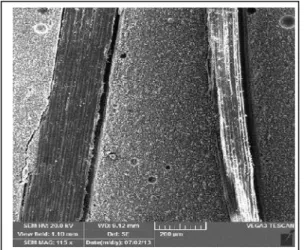 Gambar 7. Contoh SEM mikrograf sampel ADS Gambar  8  memperlihatkan  nilai  kuat  lentur komposit geopolimer serat bambu.