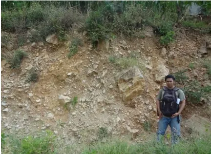 Fig. 2: Pyroclastic flow deposits at Tadahan village  