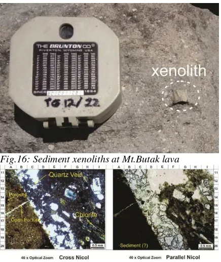 Fig.16: Sediment xenoliths at Mt.Butak lava 