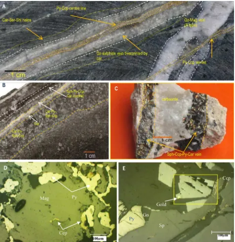 Figure 8: Some veins and breccia types related porphyry (top) and epithermal (bottom) mineral-ization in the Randu Kuning prospect area