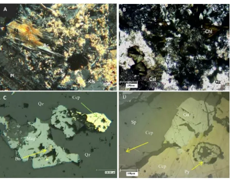 Figure 6:A) Crossed polars light photomicrograph of magnetite+biotite±K-feldspar±chlorite(potassic) altered hornblende-pyroxene diorite