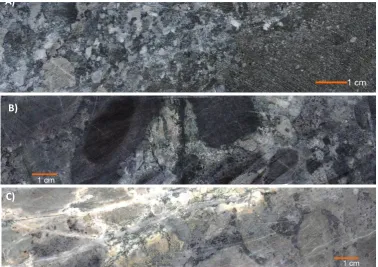 Figure 3. Magmatic hydrothermal stages. A). Hydrothermal  fluids infilling rock fractures as magnetite-silicate veinlets (WDD2-49.80), B) magmatic hydothermal crackel breccia (WDD 02-51.30), C)