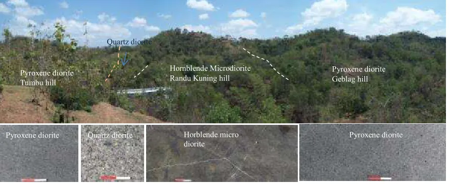 Fig. 3. Pyroxen diorite of the Tumbu and Geblag hill intruded by Microdiorite of  the Randu Kuning 