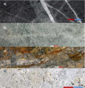 Fig. 5. Many altered rocks that were found at the Randu Kuning area. a). Potassic altered microdiorite cut by quartz vein  and  quartz-carbonate veinlets  with  chlorite-silica-epidote halos