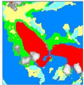 Figure 1. Classes of classification: the seagrass ecosystems (light green), the coral reef ecosystem  (bright blue), sand (yellow), the mainland (red), sea (blue) and the clouds (white)