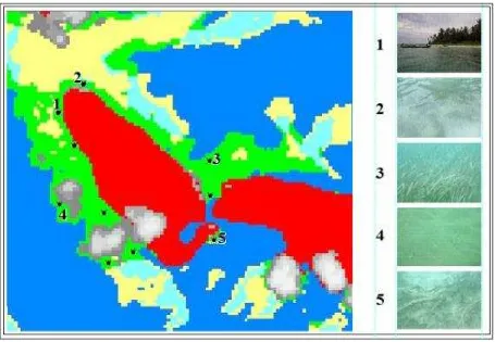 Figure 2. Five of ten points of in situ validation results. Description: point 1, 2, 3, and 5 are seagrass, while point 4 is sand