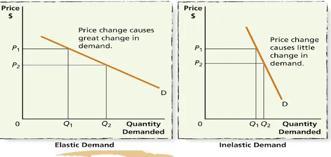 Figure 11.5: Price Elastic and Inelastic Demand Curves