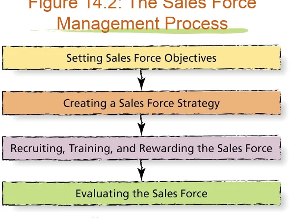 Figure 14.2: The Sales Force 