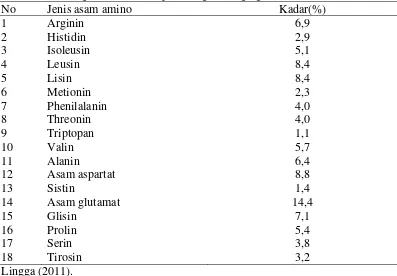 Tabel 3. Kandungan asam amino per 100 gram tempe  