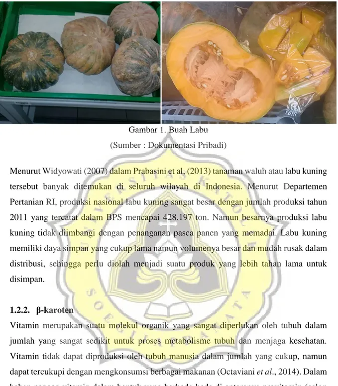 Gambar 1. Buah Labu  (Sumber : Dokumentasi Pribadi) 