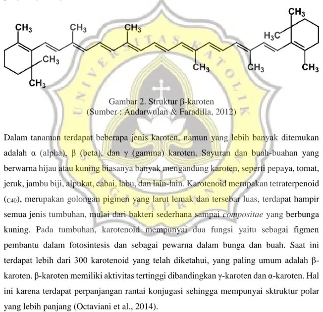 Gambar 2. Struktur β-karoten  (Sumber : Andarwulan &amp; Faradilla, 2012) 