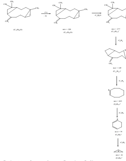 Gambar 4.6 Pola fragmentasi senyawa Caryophylen Oksida 