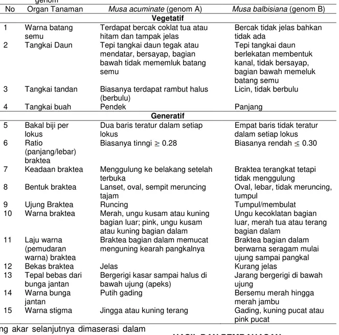 Tabel 1. Karakter organ vegetatif dan organ generatif  pisang yang diamati untuk`membedakan  genom 