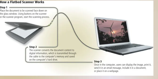 Figure 7-16publicly eccessible website, in whoale oar in pert.