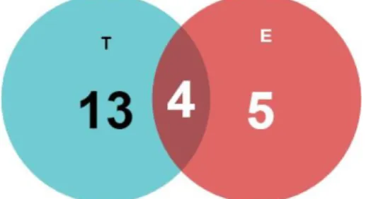 Gambar 6. Hasil Diagram Venn Welcome Layout 