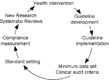 Figure 1. The Clinical effectiveness cycle.