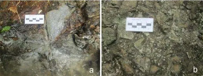 Figure 2 Volcanic rocks in the study area, (a) pyroclastic breccia (b) autoclastic breccia  (see online version for colours) 