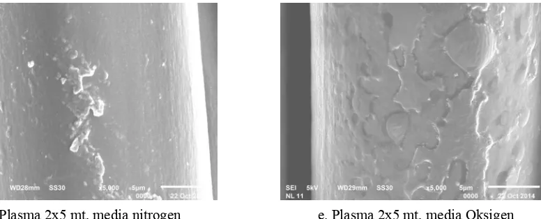 Gambar 9. Hasil uji SEM permukaan kain nilon setelah pemaparan plasma pada berbagai media