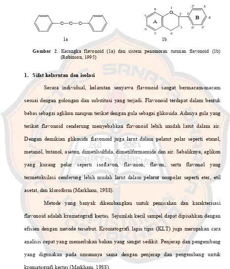 Gambar 2. Kerangka flavonoid (1a) dan sistem penomoran turunan flavonoid (1b) 