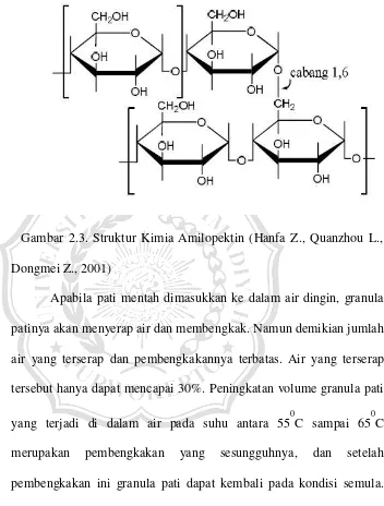 Gambar 2.3. Struktur Kimia Amilopektin (Hanfa Z., Quanzhou L., 
