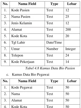 Tabel 4.8 Kamus Data Bio Pasien 