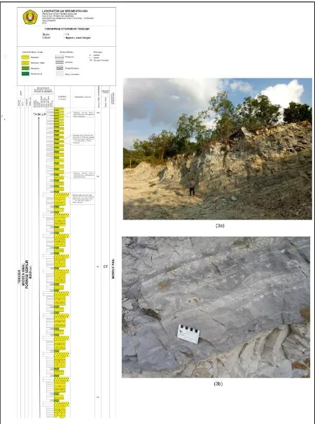 Gambar 3. Penampang stratigrafi terukur di daerah penelitian. (3a) Singkapan perselingan batupasir tufan 