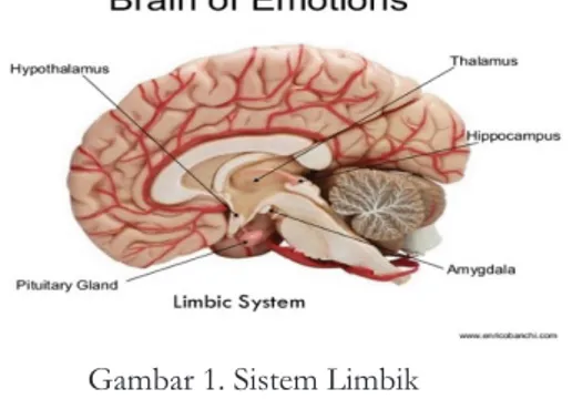 Gambar 1. Sistem Limbik  Sumber: Morals (2018)