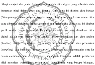 grafik vektor (vector graphics). Dalam pembahasan ini, yang dimaksud citra 