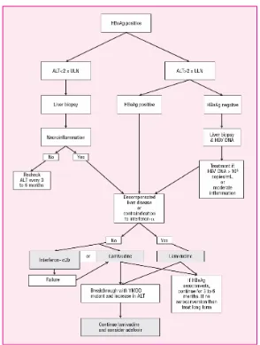 Gambar 4. Algoritma Terapi Hepatitis B Kronis (DiPiro et al., 2005).